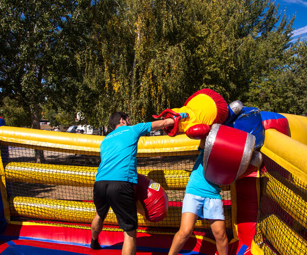 Imagem 3 do Produto Boxe