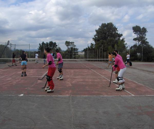 Imagem 3 do Produto Roller Hockey