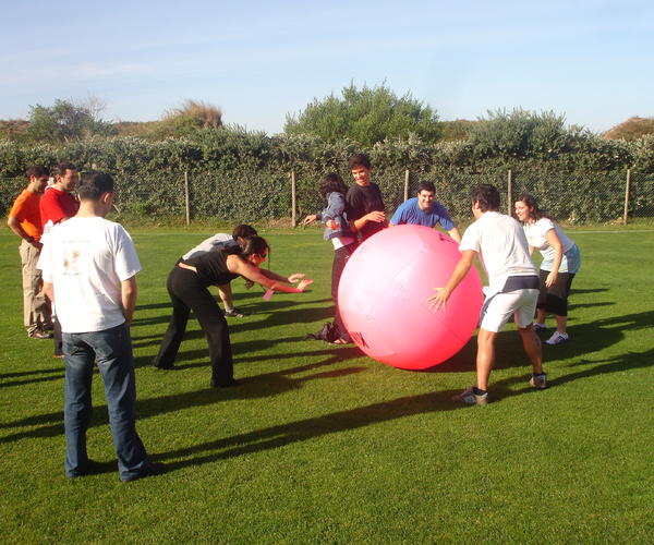 Imagem 2 do Produto Kin-Ball