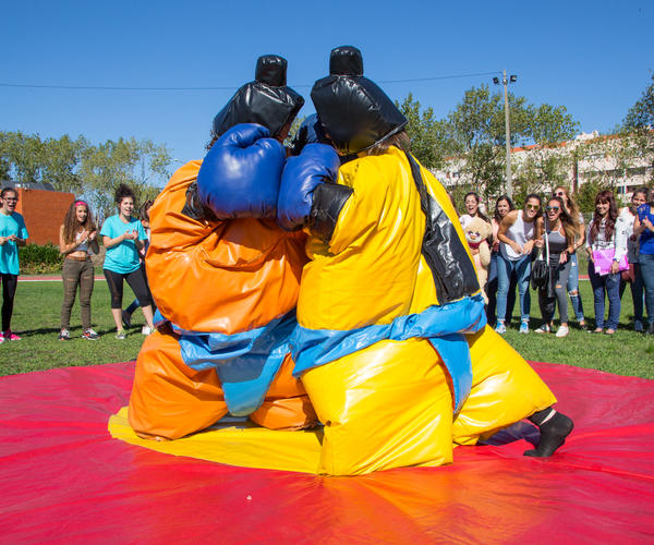 Imagem Principal do Produto Lutadores de Sumo