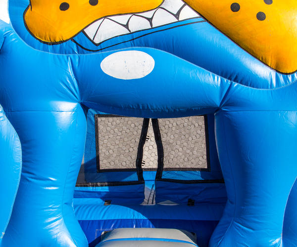 Imagem 2 do Produto Bulldog