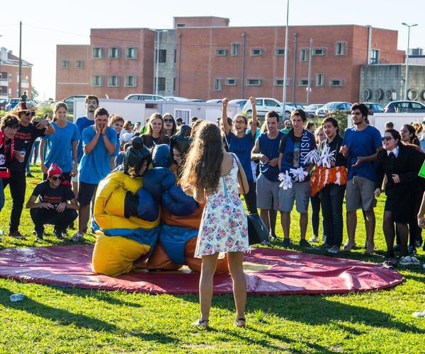 Imagem 5 do Produto Lutadores de Sumo