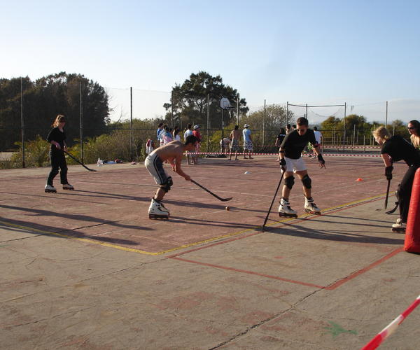 Imagem 2 do Produto Roller Hockey