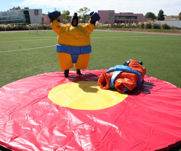 Imagem 3 do Produto Lutadores de Sumo