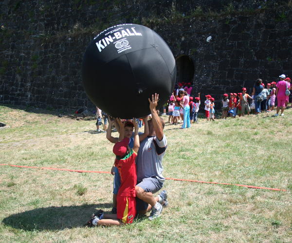 Imagem 5 do Produto Kin-Ball