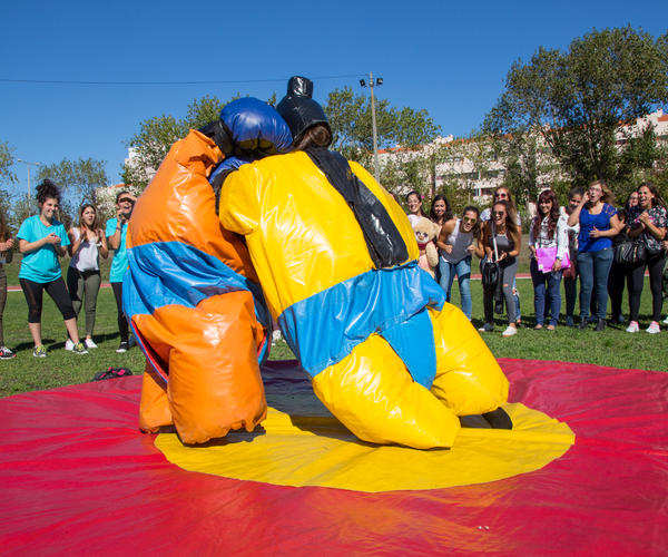 Imagem 4 do Produto Lutadores de Sumo