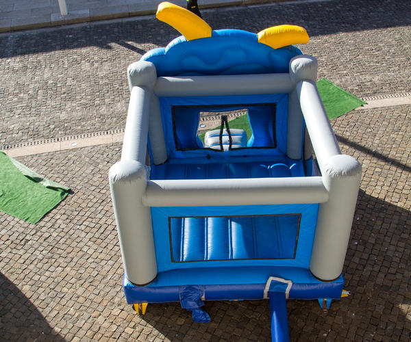 Imagem 3 do Produto Bulldog