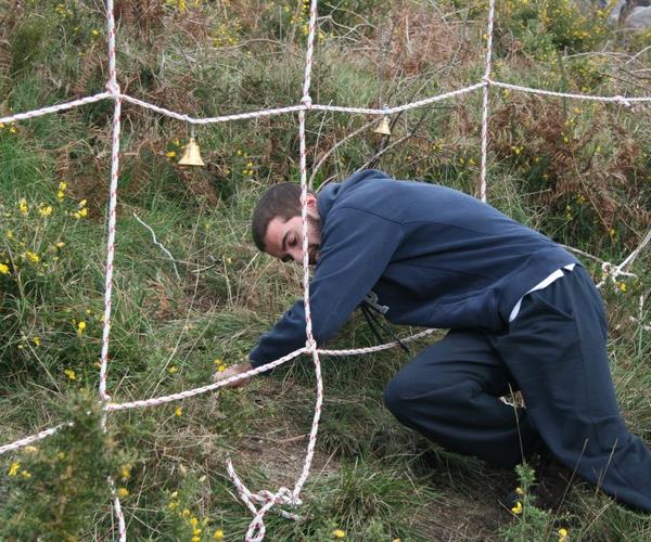Imagem 1 do Produto Teia de Sinos