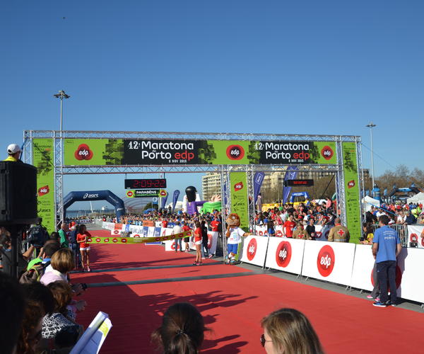 Imagem Principal do Produto Pórtico Duplo