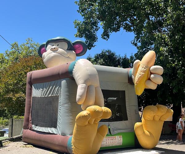 Imagem 4 do Produto Macaco