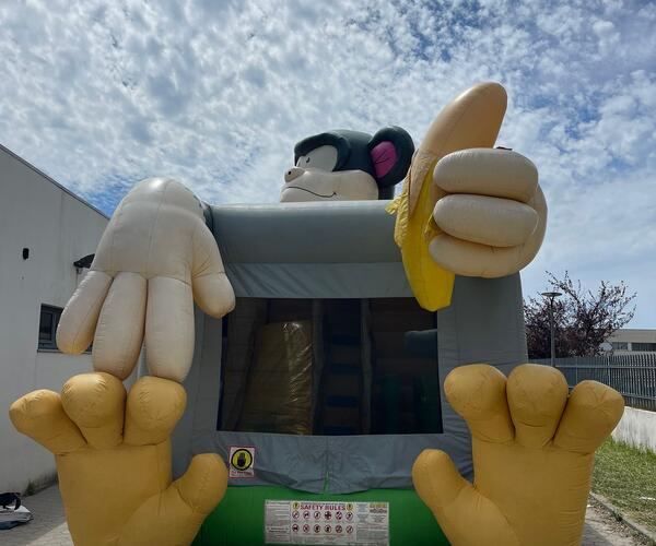 Imagem 2 do Produto Macaco