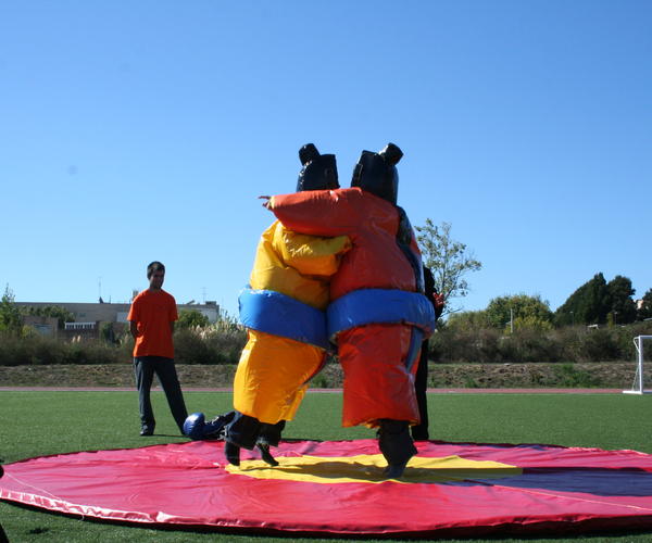 Imagem 2 do Produto Lutadores de Sumo