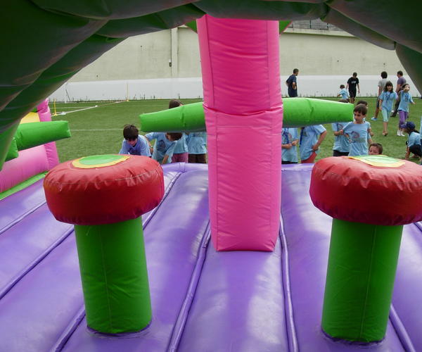 Imagem 6 do Produto Pista com Escalada