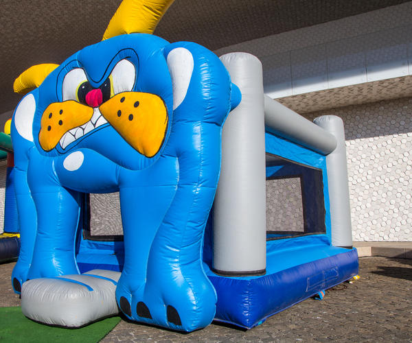 Imagem 1 do Produto Bulldog