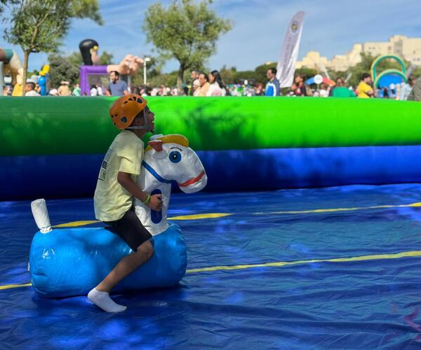 Imagem 4 do Produto Cavalos