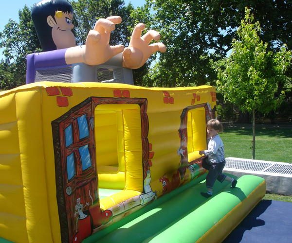 Imagem 3 do Produto Casinha