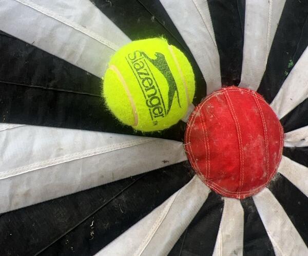 Imagem 1 do Produto Alvo Gigante