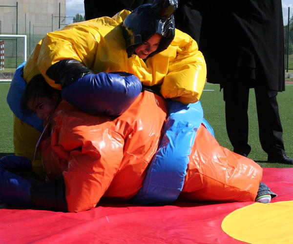 Imagem 1 do Produto Lutadores de Sumo