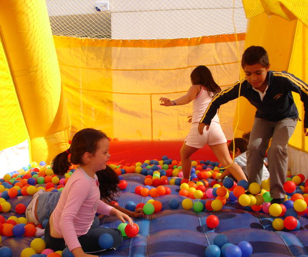 Imagem 2 do Produto Carro de Bolas