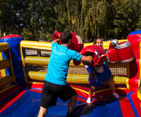 Imagem 2 do Produto Boxe