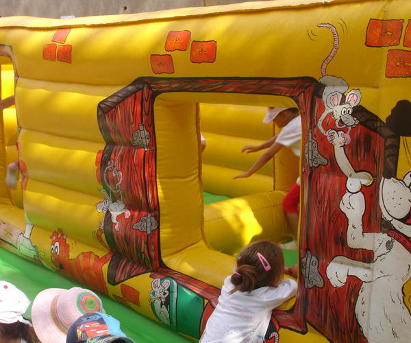 Imagem 5 do Produto Casinha