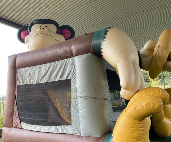 Imagem 3 do Produto Macaco